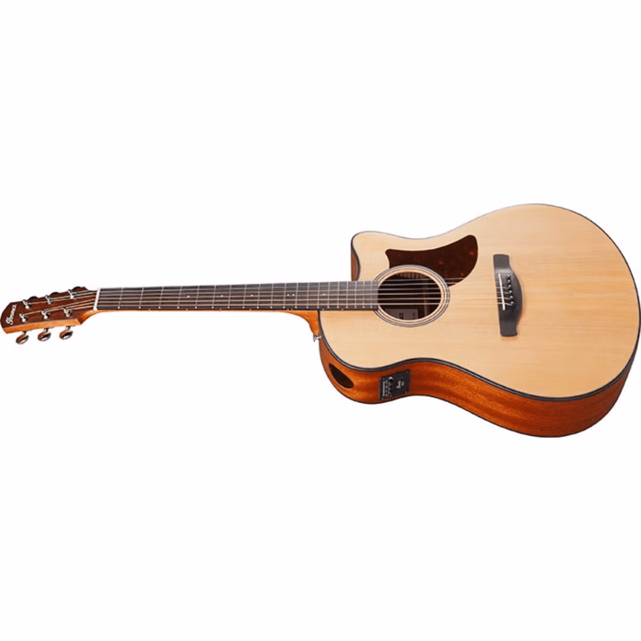 Ibanez AAM50CE - Image 2