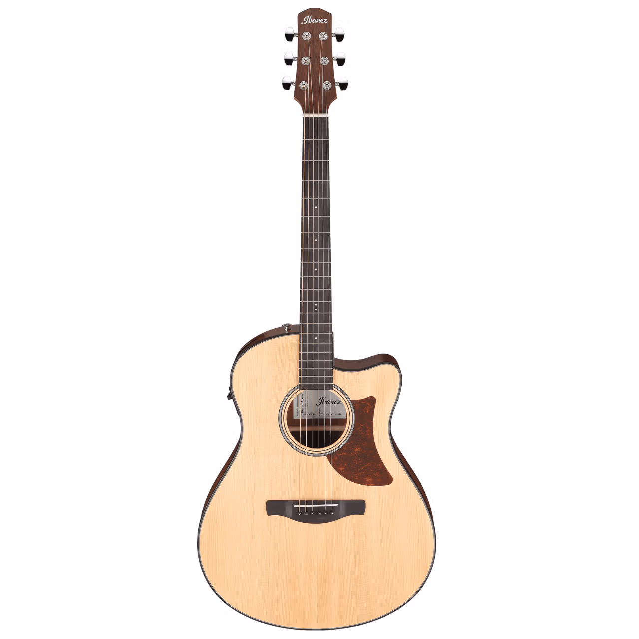 Ibanez AAM50CE