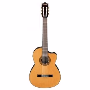 CORT Thin Body Classic Electric Cutaway Guitar