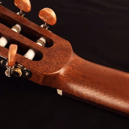 CORT Acoustic-Electric Guitar, Spruce Top - Image 4