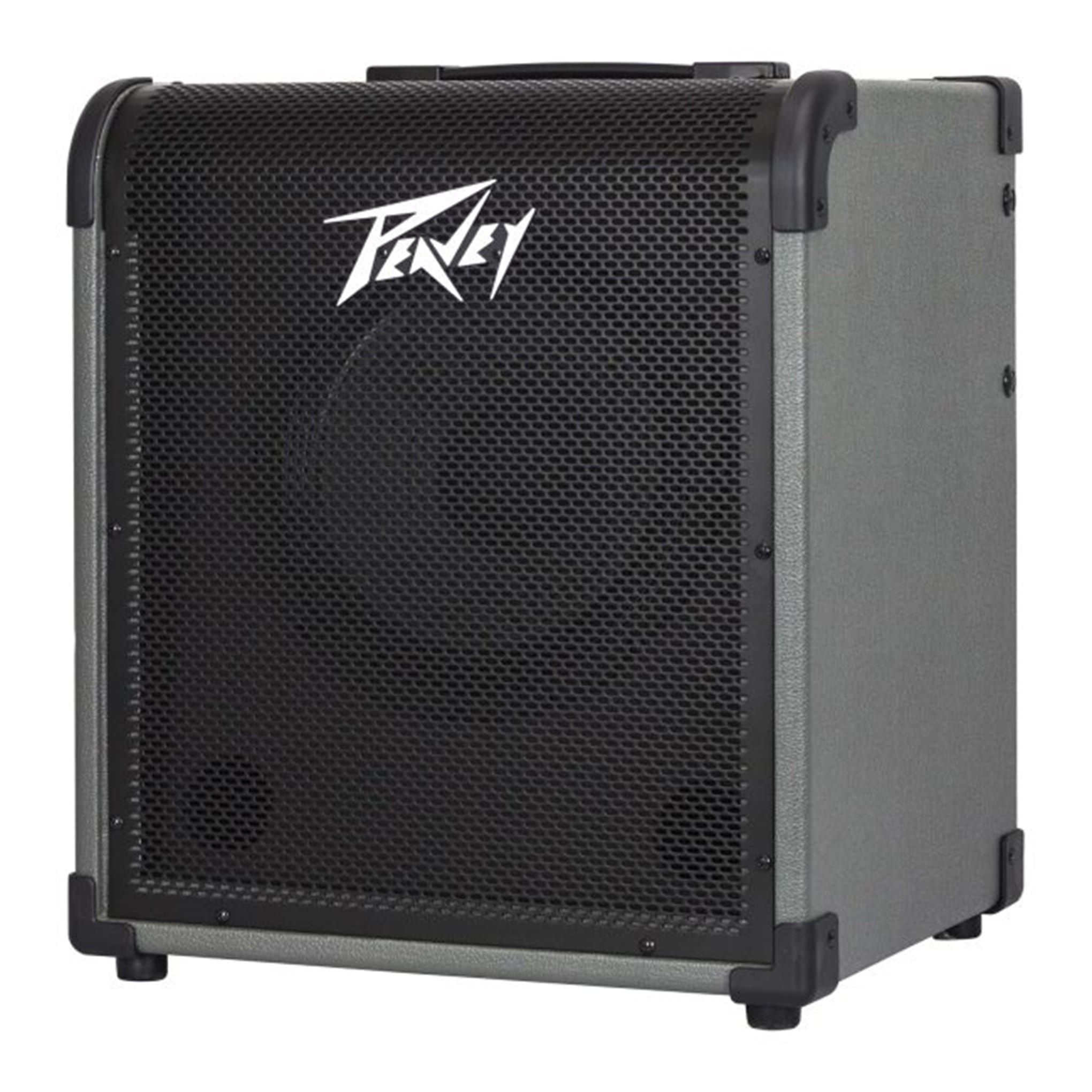 MAX 100-Watt Bass Amp Combo - Image 3