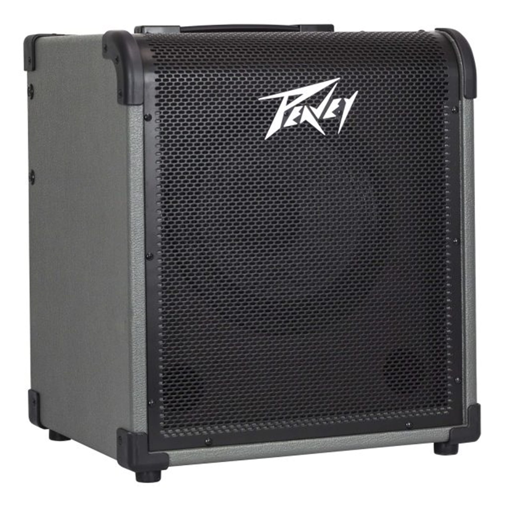 MAX 100-Watt Bass Amp Combo - Image 2