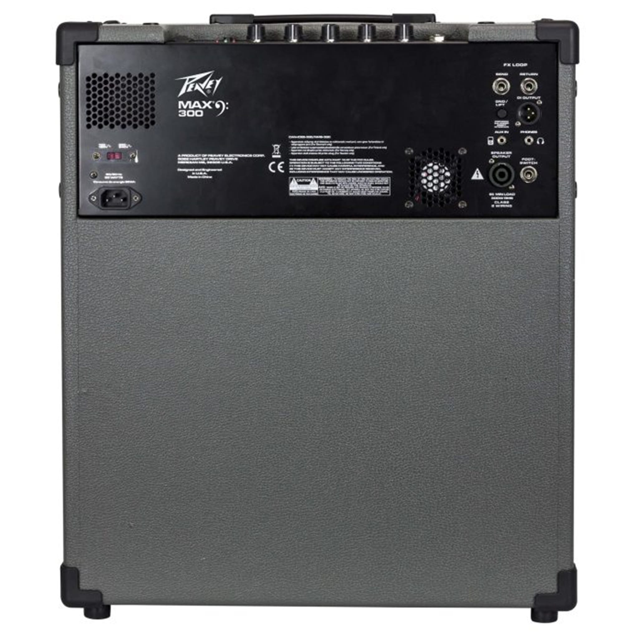 MAX 300-Watt Bass Amp Combo - Image 4