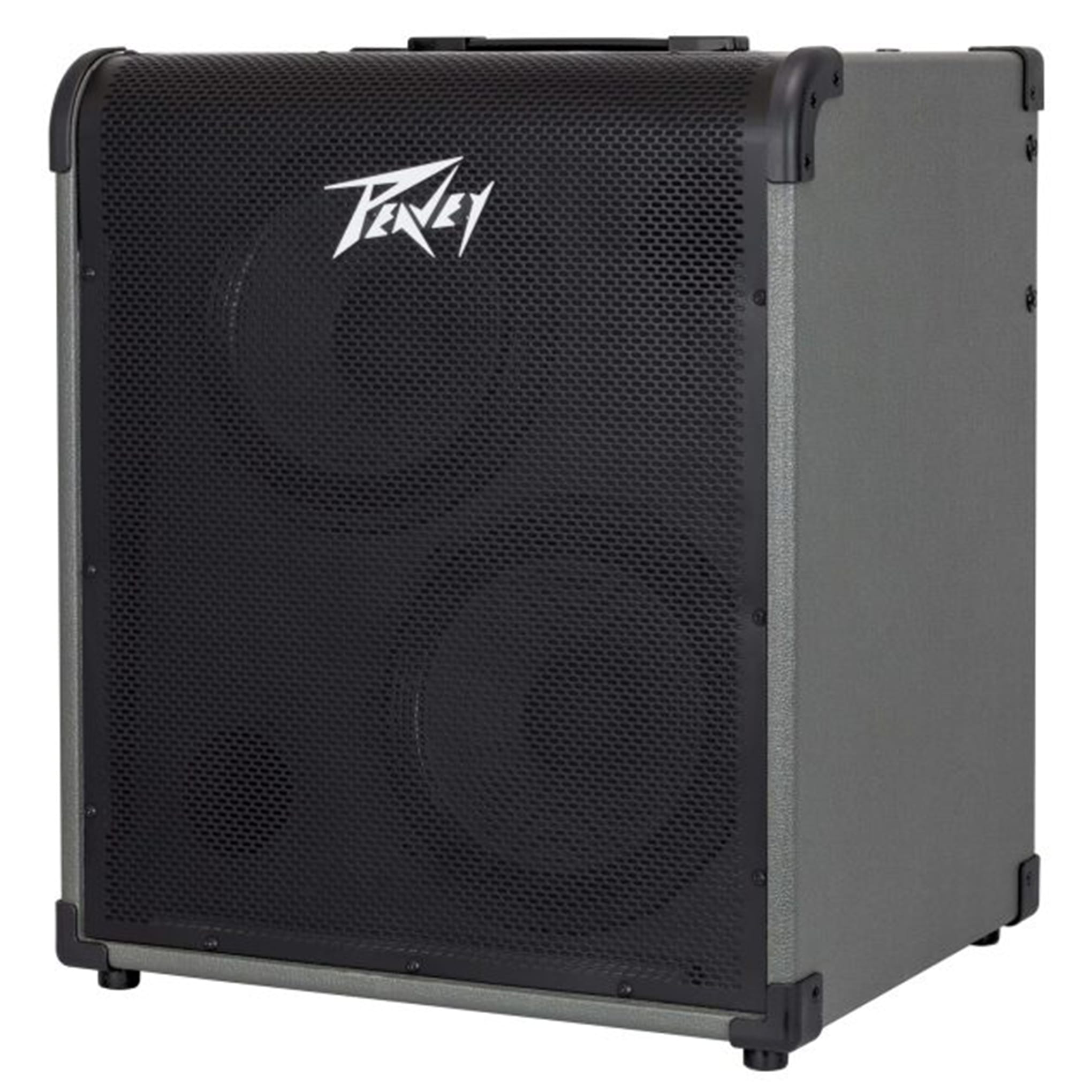 MAX 300-Watt Bass Amp Combo - Image 3