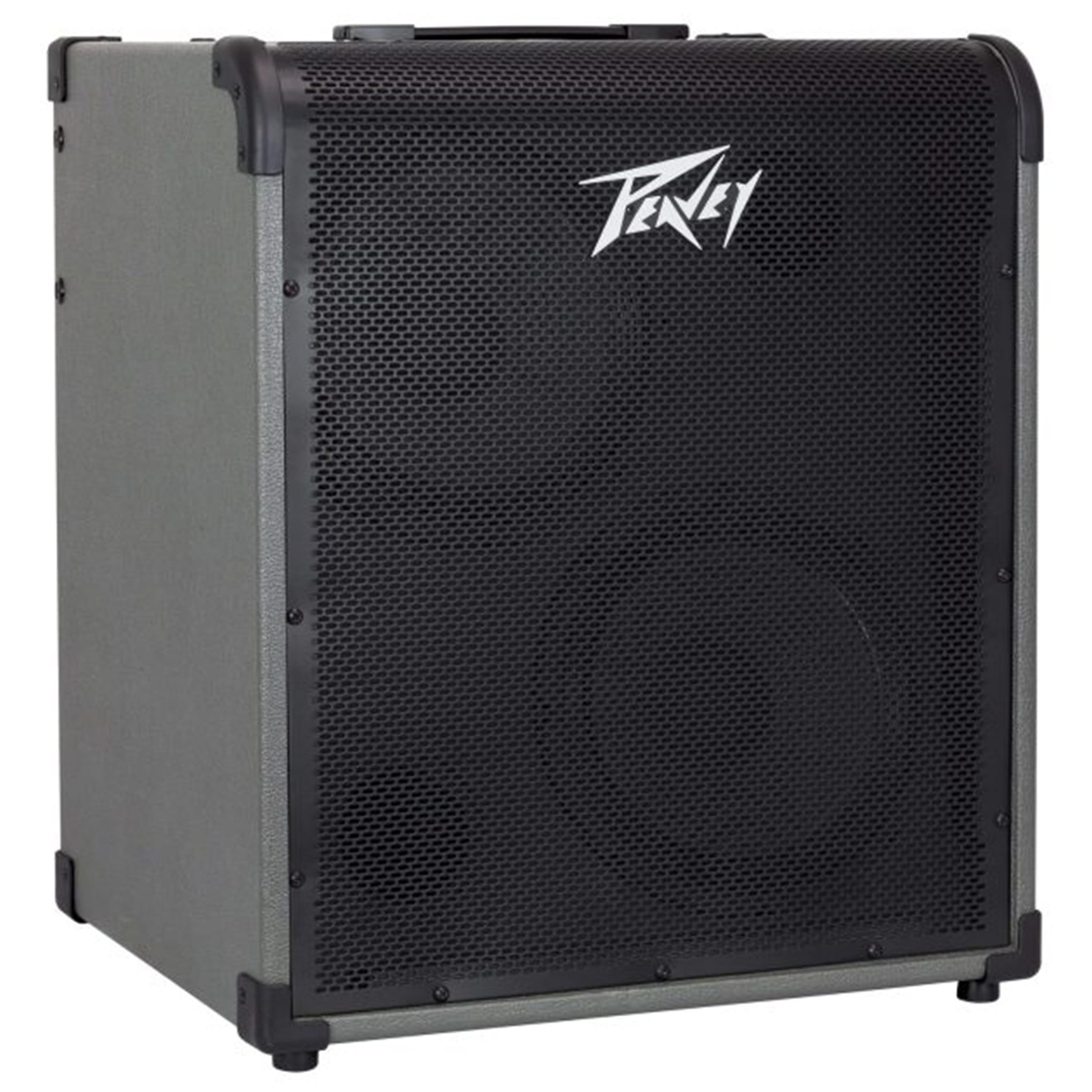 MAX 300-Watt Bass Amp Combo - Image 2
