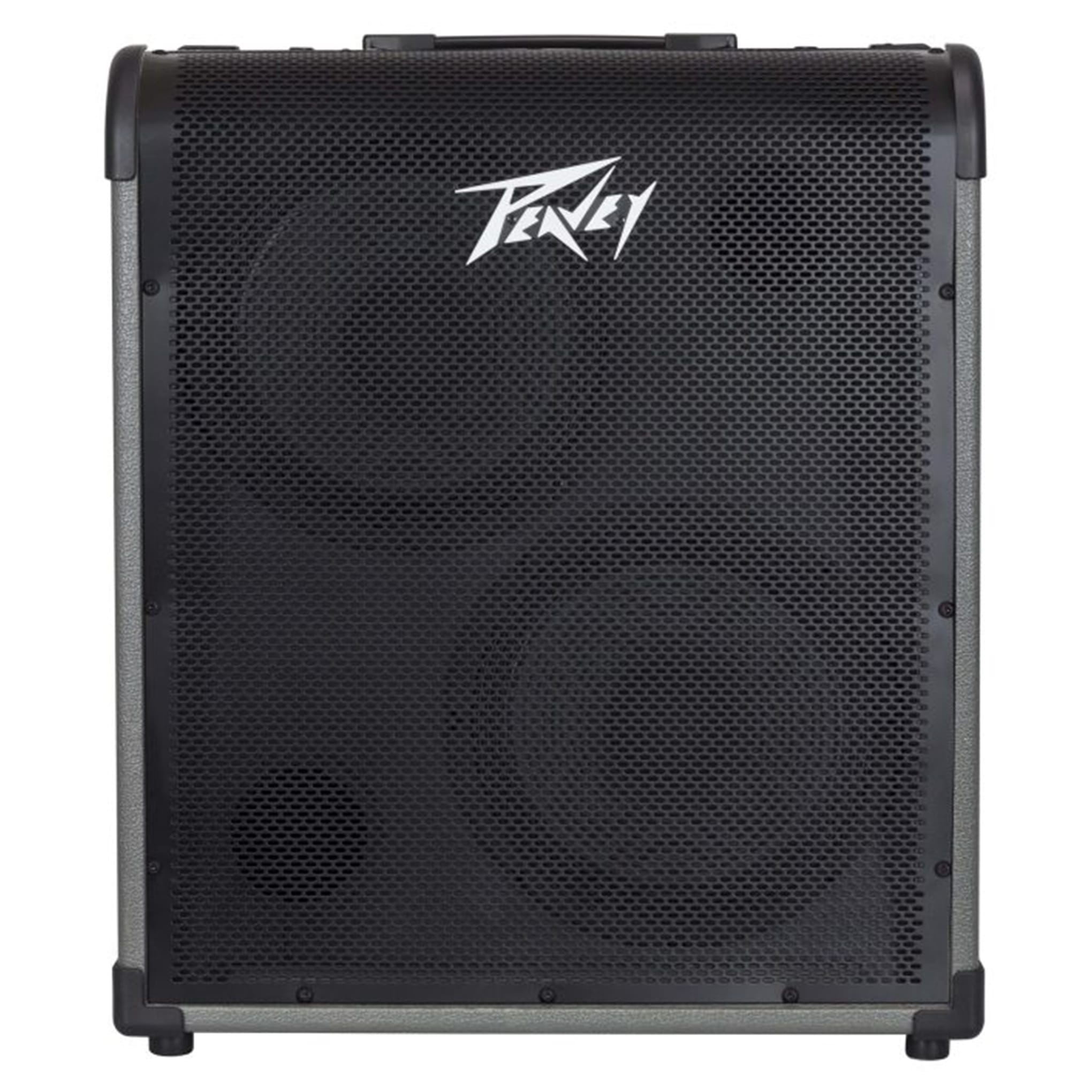 MAX 300-Watt Bass Amp Combo