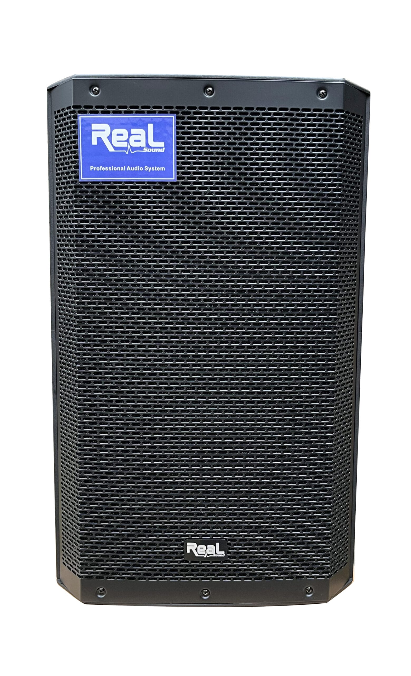 Real Sound ZX15P Active 15" Speaker - Image 4