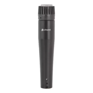 CHORD INSTRUMENT/VOCAL MICROPHONE