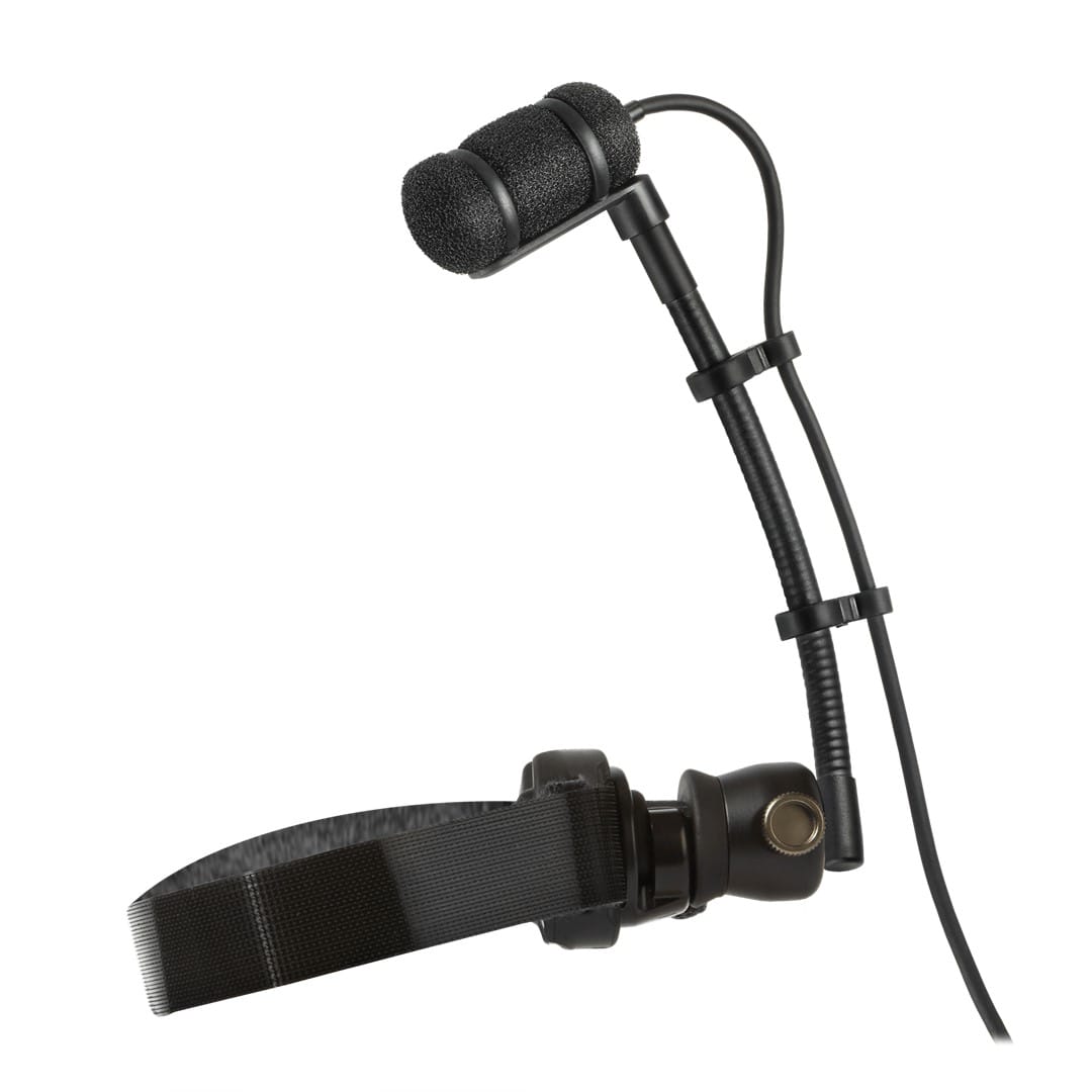 Audio-Technica ATM350W Microphone with Woodwind Mounting System