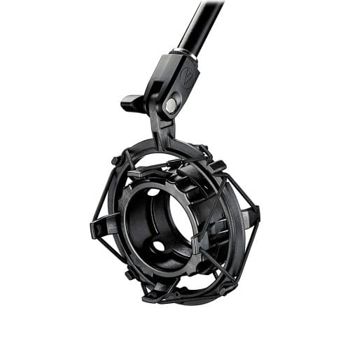 Audio-Technica BP40 Large-Diaphragm Dynamic Broadcast Microphone - Image 4