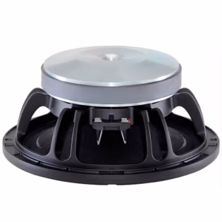 B&C 10FW64 10" Woofer