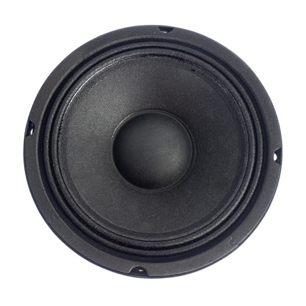 N9 Audio 8N100 100W Loose Speaker - Image 2