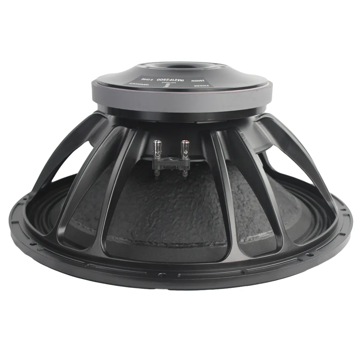 Imix IM21F2500 21″ 2500W Loose Speaker - Image 2