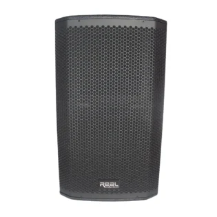 Real Sound MS-12/2+ 12" Full Range Passive Speaker