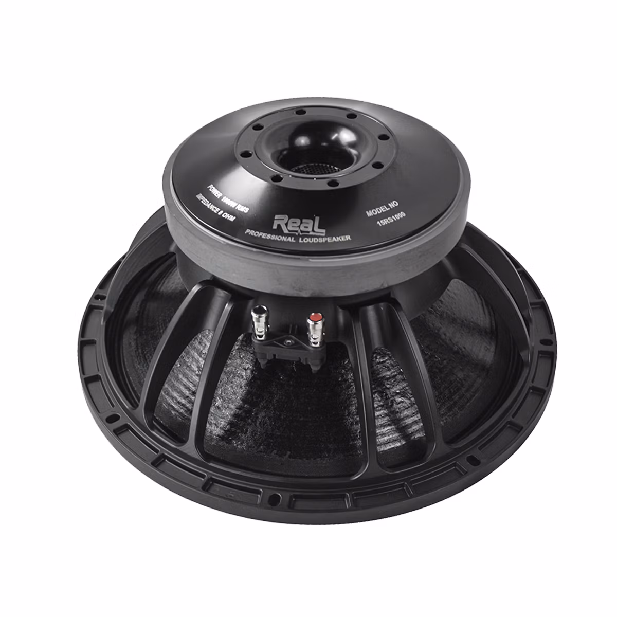 Real Sound 15RS1000 1000W 15" Loose Speaker