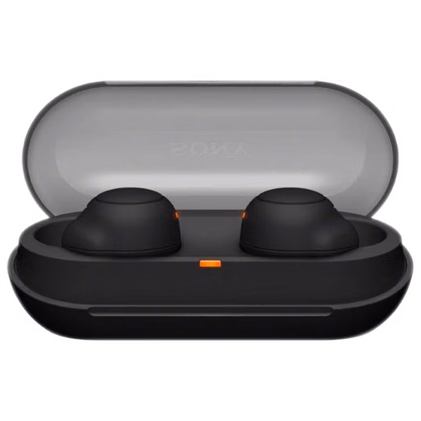 Sony WF-C500 (Black) True Wireless Earbuds