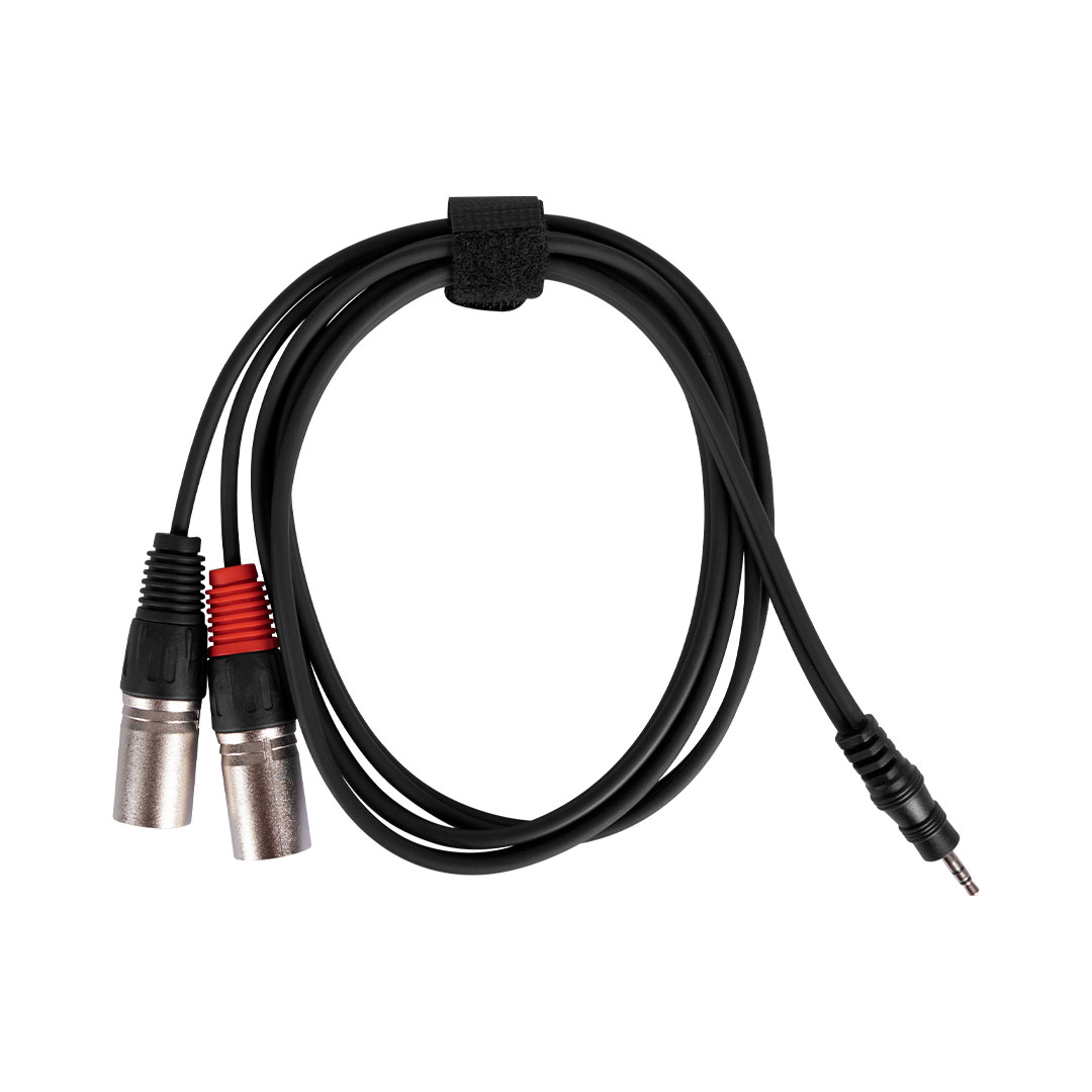XMAX Dual XLR Male-Minijack 1.5m - Image 2