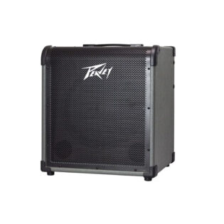 Peavey MAX 150 Bass Amp Combo
