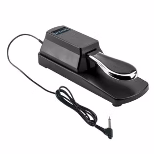 Tecnix Sustain Pedal