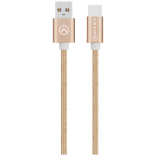 Amplify Linked Series Braided USB Type-C Cable 2m - Champagne Gold