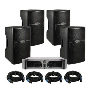 Peavey 15" Passive System