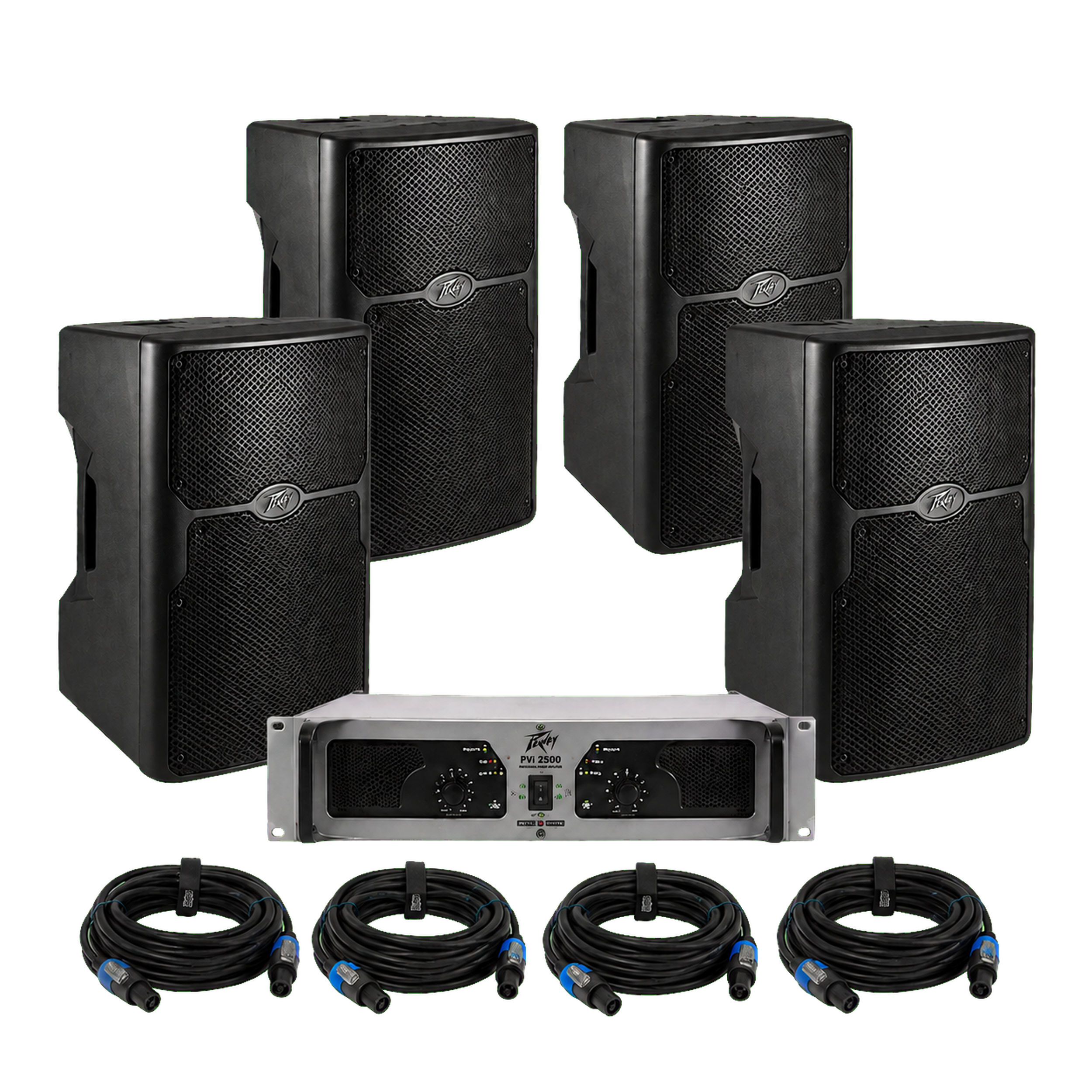 Peavey 15" Passive System