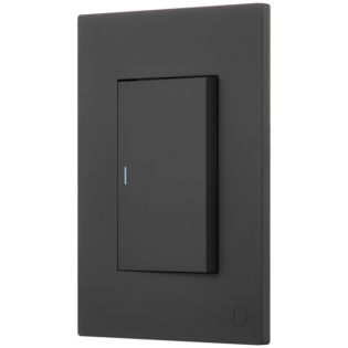 Ellies 1 Lever 1 Way Switch 2x4 (60mmx100mm) -BK