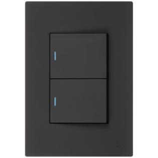 Ellies 2 Lever 1 Way Switch 2x4 (60mmx100mm) -BK