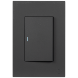 Ellies 1 Lever 2 Way Switch 2x4 (60mmx100mm) -BK