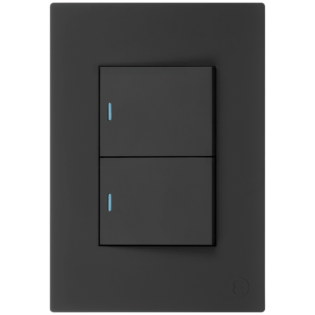 Ellies 2 Lever 2 Way Switch 2x4 (60mmx100mm) -BK