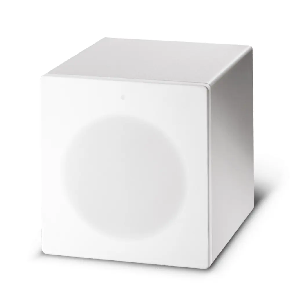 FBT PROJECT1020SA ACTIVE SUBWOOFER 10INCH 150W RMS WHITE - Image 2