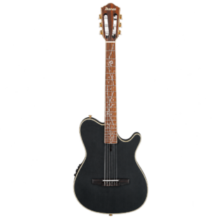 Ibanez TOD10N Tim Henson Nylon-String Acoustic-Electric Guitar – Transparent Black Flat